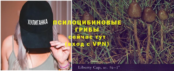 мескалин Алексин