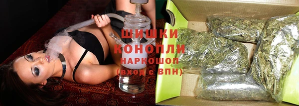 прущий лед Абаза
